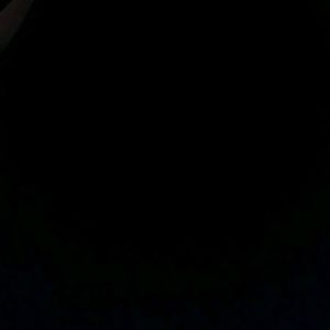 Meet your Posher, Terry